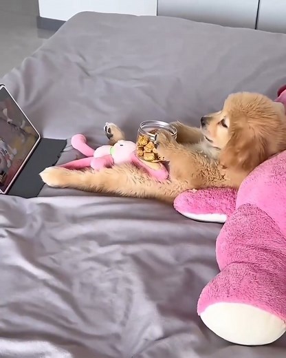 4K views · 48 reactions | 朗 | Blog DfM Radio y Tv | Facebook