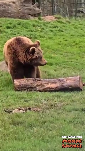 Monde Sauvage on Reels