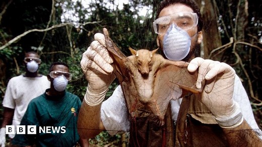 Covid origins: Scientists weigh up evidence over virus's origins