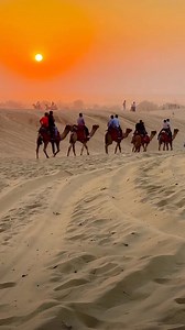 13K views · 376 reactions | Camel safari  sunset view | Fota Desert Safari Jaisalmer | Facebook