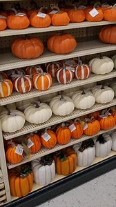 Pumpkins are here. All kinds at Hobby Lobby. Happy Fall y'all. #hobbylobby #pumpkin #fall #Pumpkins #homedecoration #homedecorideas #passionatepaintedlady | The Passionate Painted Lady