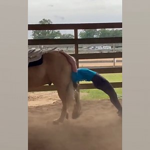 Here's me commentary for 8 mins being a horse 🎙 | Ozzy Man Reviews