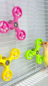 Bird-Toys for Parakeet-Parrot Cage Accessories-Parakeet Cage Cockatiel Toys-Interactive Rattle Spinner Toy Exercise Enrichment Toys (Yellow Spinner)