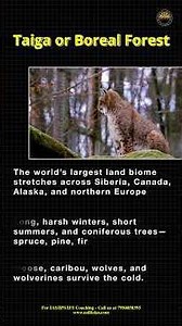 Biomes of the World Explained: Forests, Grasslands, Deserts & Tundra | Explained Simply