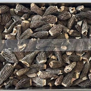[Hot Item] Wholesale Dried Morel Morchella Conica, From China Supplier