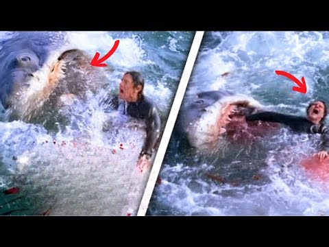 The HORRIFIC Last Moments Of Bruce Wolov