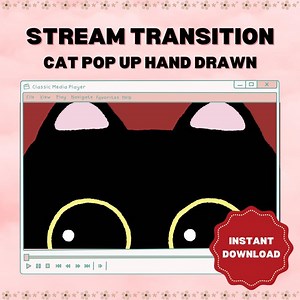 Stinger Transition Cute Cat Hand Drawn Pop up | Twitch Youtube Discord OBS Studio | Aesthetic | Kawaii | Cozy | Overlay | Streamer | Retro - Etsy UK