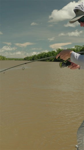 The Revo 3 SX putting the brakes on this healthy NT barramundi 🐟 🎣 #AbuGarcia #AbuGarciaForLife | Abu Garcia