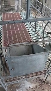 182K views · 1.3K reactions | Pano set up ng farrowing pin nyo bossing ito na #farm Part 2 | Mandado Rosas Jobert | Facebook