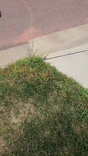 @crpetit showin off his Led Sled rig 👊 | Led Sled Customs