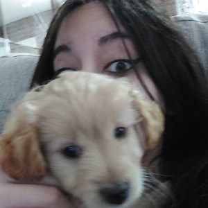 valemenem - Twitch