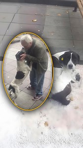 33K views · 1.4K reactions | Man Reunites With Dog After 3 Years沈 | Animal Lovers | Facebook