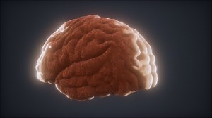 Loop Rotating Human Brain Animation