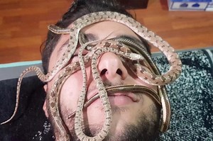 Snake massage in Egypt but not for the faint-hearted