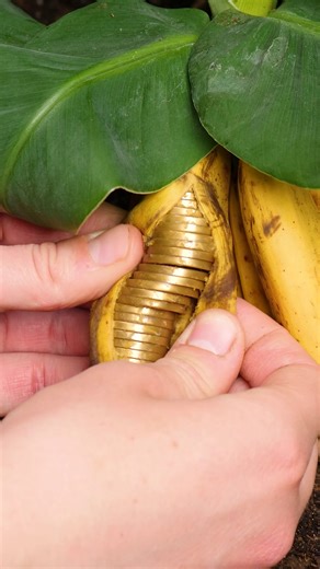 Genius Gardening Tips You Should Know! | Genius Panda