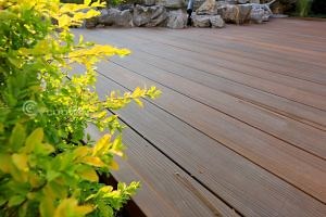 [Hot Item] Hot Sale Co-Extrusion WPC Decking Outdoor WPC Flooring