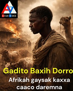 Afrikah Gaysak Kaxxa Caaco Daremna Gadito Baxi rube Dorro #Dorro #Qadar #Afar #poetry | Afar Voice