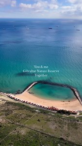 You & me belong to be here, together 🐒🍃 🎟️Buy tickets here: WWW.NATURERESERVE.GI Or visit the link in our bio 🔗 #explorenaturereserve #upperrockviews #visitgibraltar #gibraltarnaturereserve #wildlifecorridor | Gibraltar Nature Reserve