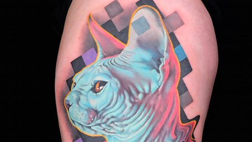 From Acid Cat to a colorful hairless one, here’s a look back at the best and worst cat tattoos done on #InkMaster. | Ink Master