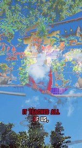 Life as home of love... Prof. Bernie Siegel is the earlier generation of medical doctor who deeply studied the connection between physical healing and the deep practice of love. In our age, there are countless teachers who are similar to Deepak Chopra, who is medical doctors and also deeply researched the connection of love and healing in general. Previously it was only written in holy scriptures. But nowadays, this topic has become the subject of research in various universities world wide. And