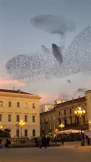 Synchronized dhikr and tasbih (glorifying Allah) by the tongue of disposition... . . . . . #reels #reelsvideo #reelsinstagram | Questions on Islam | Facebook