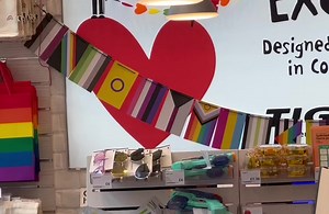 Who here is a pi-sexual? It’s actually the polyamory flag - which I presume was already covered by the rainbow flag (bisexual/homosexual). | Sarah Vaci - Artist/Writer/Producer