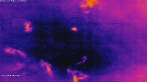 This is something you do not see that often. On the evening of February 21st our Migration Thermal camera captured a bat in southwestern PA. With the odd weather patterns we are seeing in recent years we are seeing changes in wildlife habits. Some species of bats in PA migrate south while others hibernate in caves in the winter. This is something we wouldn't expect to see until April. You can watch our thermal camera in the evenings. We live stream that camera from 4 PM EST to 10 AM EST daily he