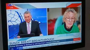 Historian Ruth Dudley Edwards gets straight to the point! "Sinn Fienn is a cancer" #NorthernIreland #NorthernIrelandProtocol #WindsorAgreement | British Democrats