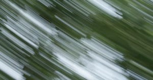 Nature Diagonal Wipe Transitions Motion Graphics Appearing and Disappearing. Dynamic Trailer Overlay 4K Stock Footage - Video of motion, paper: 261286102