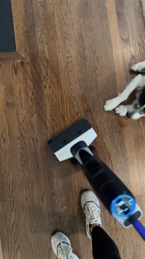 Click here to shop. Make sure to clip the $120 off coupon! https://amzlink.to/az0KIpKR7A3Uq This cordless wet-dry vacuum is a game changer. It mops and vacuums at the same time which makes cleaning so much faster. If you're a mom or have pets, grab this! You'll be amazed! Vacuum Recommendation Wet Dry Vacuum Tineco Vacuum Cleaning Hack House Cleaning Inspiration | Click and Love