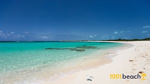 ロブロリーベイ ビーチ  (Loblolly Bay beach)