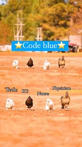 18K views · 191 reactions | The whole squad is coming in hot! 落. #NursingLife #nursepractitioner #NursingJourney #nursestudent #studentnurse #LabanParaSaPangarap #studentnurselife #buhaynurse #RN2024 #PinoyNurse #ORnurse #nursingschool #nursepractitioner #nursingstudent #fyiシ゚viral #nursing #USRN #nursinglife #nursingjobs #SutureSkills #pedianurse #nursetok #pinoynurse #icunurselife #nursinghumor #nurses : Nurse.jeremyy on tiktok | Nurse Nemo | Facebook