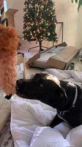 1.9K views · 32 reactions | Erin Electra on Reels | Facebook