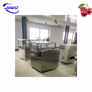 [Hot Item] Plum Seed Remover Plum Pitter Cherry Seeds Removing Machine for Sale