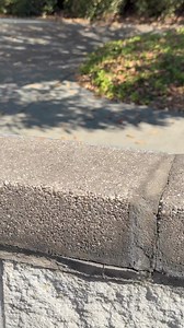 What colors from the RTR Extended Color Palette 🎨 are your favorite? | RTR Vehicles