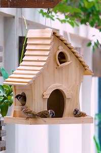 DIY Adorable Bird Feeder | Smart DIYs & Crafts