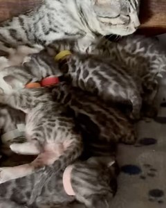 Liz Taylor on Reels | Facebook