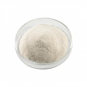 [Hot Item] Organic Chicory Root Extract Inulin Powder