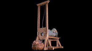 Guillotine Cuts Off Head Criminal Previously Stock Footage Video (100% Royalty-free) 1062926302 | Shutterstock