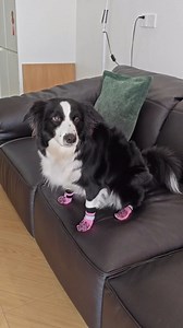 HeavenEye Anti Slip Dog Socks, Dog Paw Protectors Maximum Grip Prevent Licking Paws Slipping, Paw Protector for Hot & Cold Pavement Shoes Boots for Small Medium Large Senior Dogs(Pink Bone,XL)