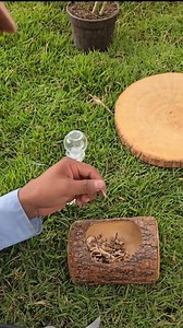 Turn chicken bones into a powerful natural fertilizer rich in...