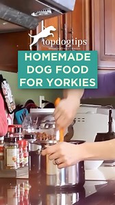 🐾 This homemade dog food is perfect for Yorkies! Made with small breed nutrition in mind, it’s a tasty and healthy meal for your pup. 🥘 Click here for the full recipe serving suggestions and nutritional benefits: https://topdogtips.com/homemade-dog-food-for-yorkies-recipe/ #dogfood #dogfoodrecipe #homemadedogfood #diydogfood #yorkiesofinstagram #yorkielove #yorkiefood | Top Dog Tips