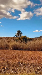 EL CABO. ALMERÍA. NÍJAR 🧡 | Guía del Cabo de Gata - Tu otra guía.