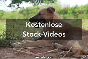 Die besten Junge knaben nackt-Videos
