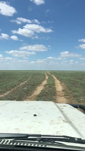 vip_goose_hunting_kazakhstan on TikTok