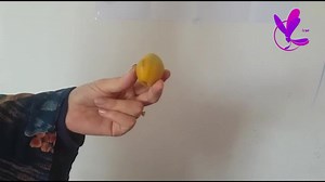 بلی شما میتوانید که زردآلو را حتا به ظ نوشته کنید، بخاطری که سال پار در مدت سه ماه، فیس نه ماه را گرفتید. | MAK Gaming