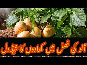 potato production technology,Potato Fertilizer plan,Sowing time and method,