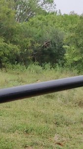 Wind Turbine Free Energy Generator#homemade #generator #freeenergy | Creations Club