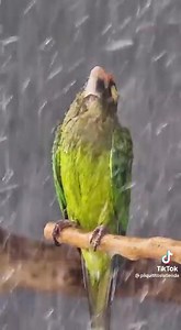 Retro Magazine on Reels