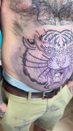 Part 1 of an insane stomach piece by @willybyrdtattoos !! Outline done 😎🔥 smooth and easy, check it out! #tattoos #niceneedleco #sponserme #tiger #lion | Kingpin Tattoo Studio